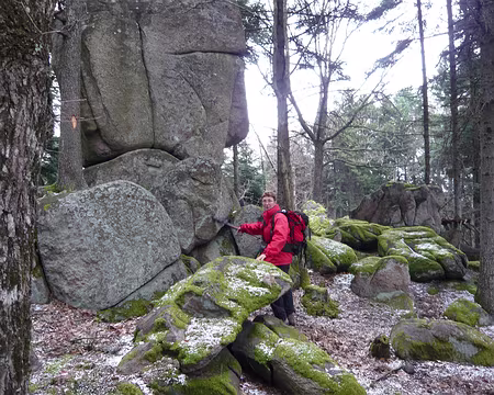 Alsace 130 Le Moaï de la forêt pré-vosgienne.