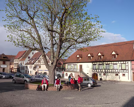 Alsace 176 Fin de la rando à Gueberschwihr.