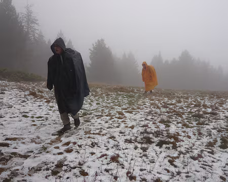 026 Un peu de neige à 1900 m.