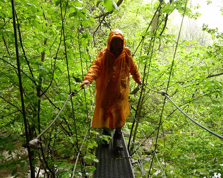 037 Pont suspendu de la vallée de la Carança.