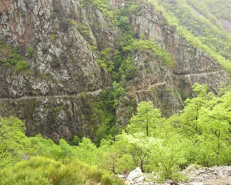 039 Et sentier de la Carança.