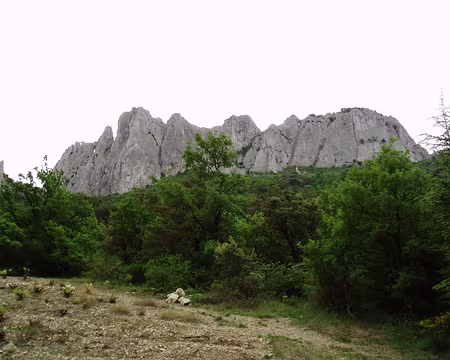 Dentelles 030
