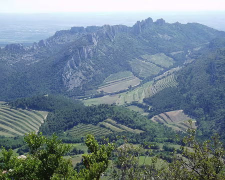 Dentelles 090