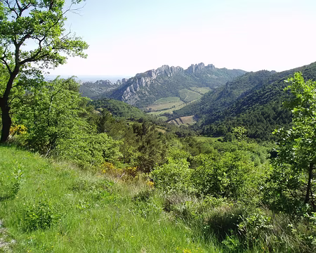 Dentelles 091