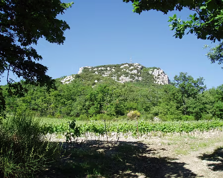 Dentelles 092