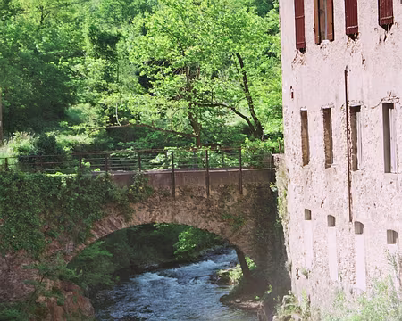 2008 Languedoc 002z558 le moulin de l'Oule