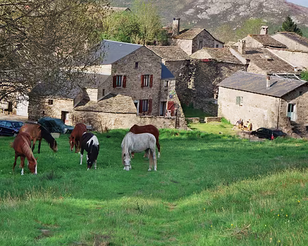 2008 Languedoc 035 arrivée a Douch