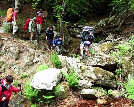 2008_HAUT LANGUE DOC 33_1