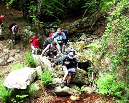 2008_HAUT LANGUE DOC 34_1