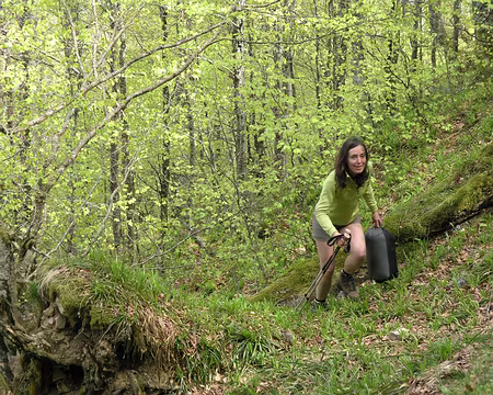 P1010269 Le duvet s'est fait la malle