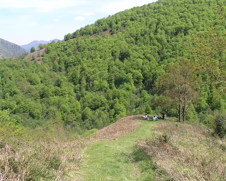 P1010312 La beauté des lieux