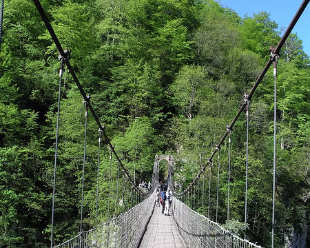P1010372 La fameuse passerelle