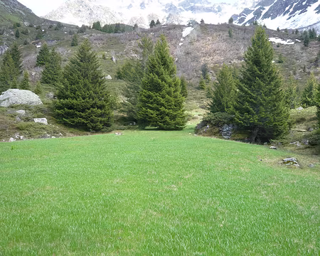 Prapoutel 021 Une invitation à la sieste ou au camping.