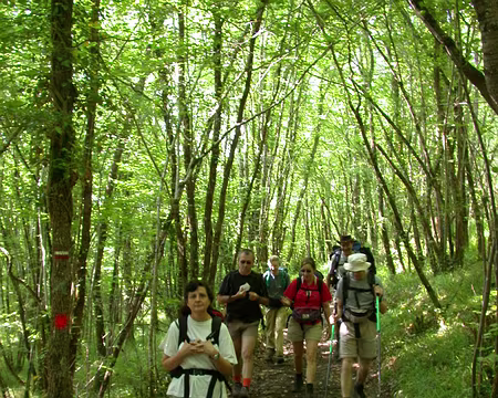 002 Le chemin est très agréable sous les bois