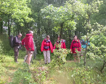 027 Tiens un rayon de soleil