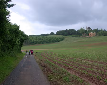 062 Chateau avant d'arriver à St Cyprien