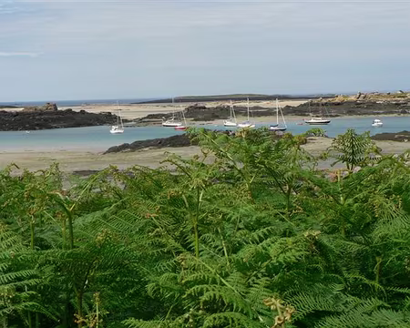 week-end voile juin 2008 029