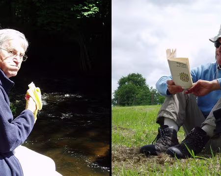 07 (pause : variantes)