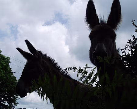 09 ... et remonte la pittoresque vallée des Ritours...