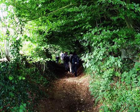 18 Le chemin s'engage dans les haies bocagères...