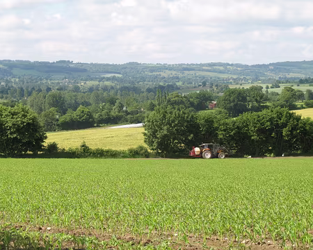 25 Dans la vallée de la Sée...