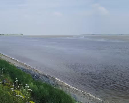 65 Les bras de la Sélune