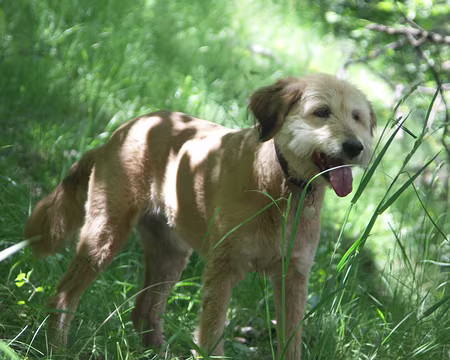 04 Participant supplémentaire