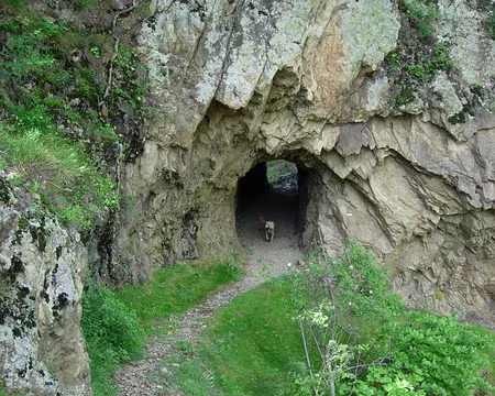 08 Tunnel
