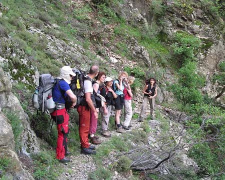 11 De l'utilité du sifflet