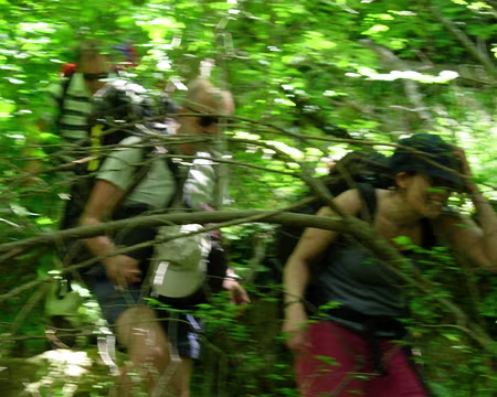 12 Au secours, l'ours est réapparu!