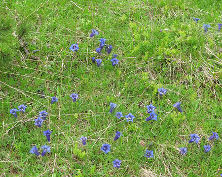 24 Vallée de Riberola
