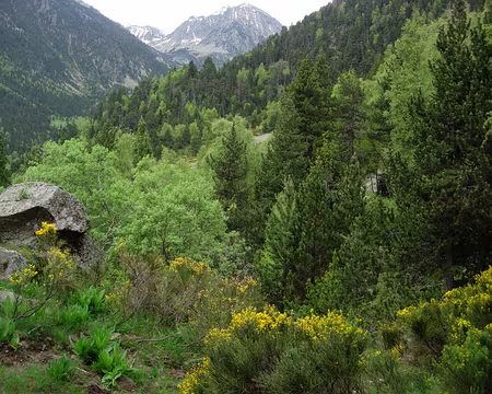 25 Vallée de Riberola