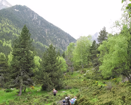 29 Vallée de Riberola