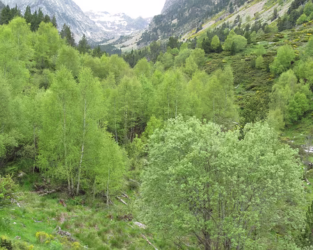 35 Vallée de Riberola