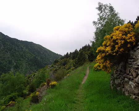 37 Vallée de Riberola