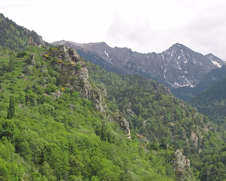 43 Mais où est la gare?