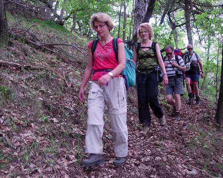 45 Forêt domaniale de Fontpedrouse