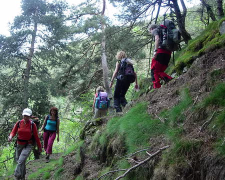47 Forêt domaniale de Fontpedrouse
