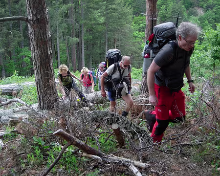 50 Un dernier effort!