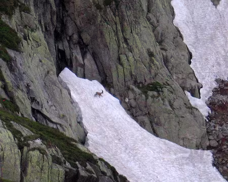 Sept Laux 6 Un autochtone