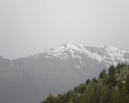 008 Au dessus de 2400m, les sommets étaient encore bien enneigés pour une fin mai.