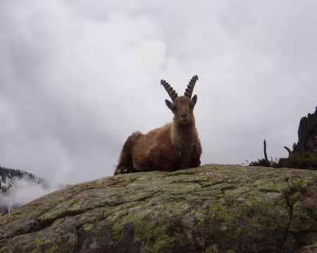 054 Arrivée au refuge.