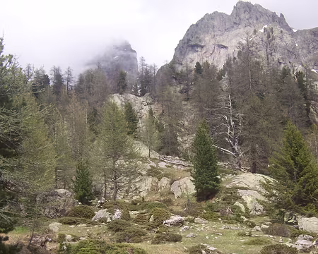 060 En descendant le Val du Haut Boréon.