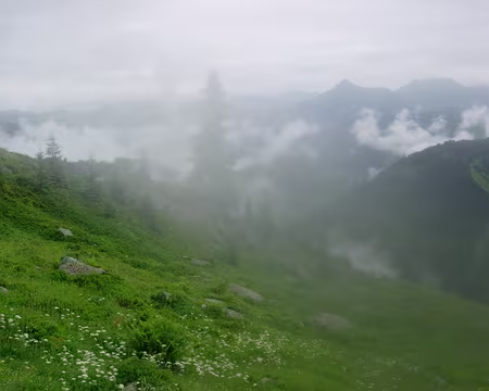 02 Sortis des brumes...