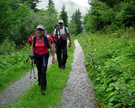07 Bande de marche d'urgence entre deux ruisseaux