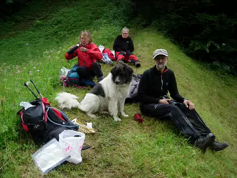 Celine détail de la sortie