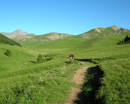 015 8_07 01 Tinee 014 départ dans le vert