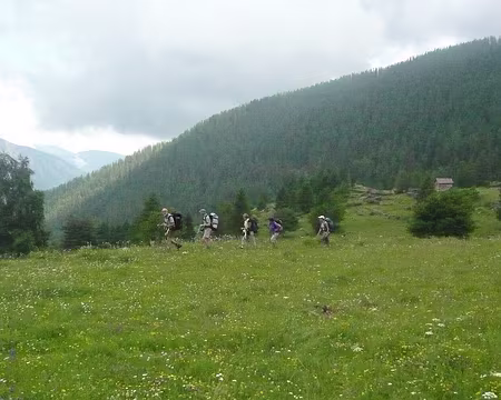 016 8_07 02 montee J1 dans le vert et les petites fleurs