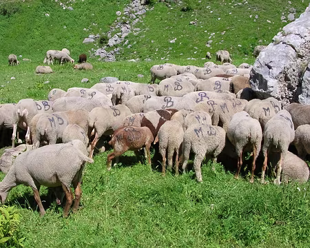 024 8_07 11 Tinee 028 bis les MB de Sallevieille