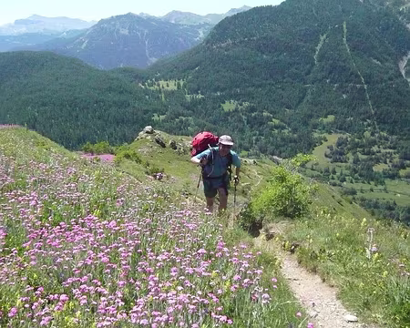 045 10_07 07 39 coquelourdes Hubert coquelourdes ou silènes?